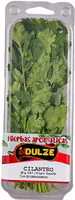 Mängden socker i Cilantro