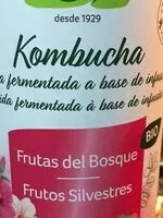 Mängden socker i Kombucha grano vita