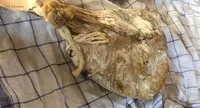 Mängden socker i Noix de jambon