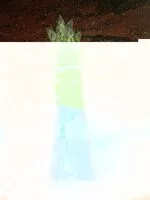 Mängden socker i Piña