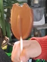 Mängden socker i Sucette en chocolat