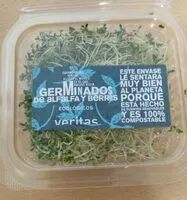 Fresh alfalfa sprouts