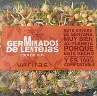 Fresh lentil sprouts