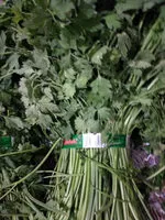 Mängden socker i Perejil en manojo