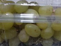 Mängden socker i Uvas sin semillas