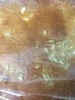 Mängden socker i Coca briox pinyons