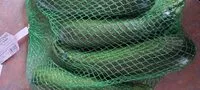 Mängden socker i Zucchini