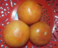 Mängden socker i Tomates