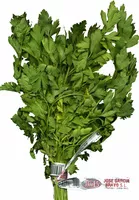 Mängden socker i Perejil fresco