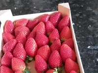 Mängden socker i Fresas