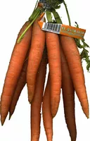 Mängden socker i Zanahorias