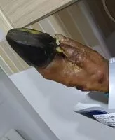 Mängden socker i Paleta cerdo iberica