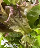Mängden socker i Slamelange rucola
