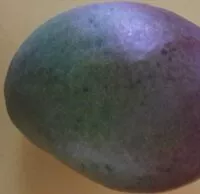 Mängden socker i Mango