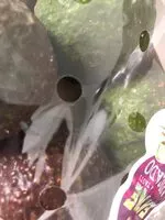 Mängden socker i Avocat