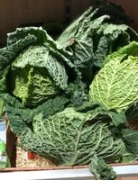 Mängden socker i Endive