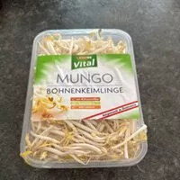 Mängden socker i Mungo Bohnenkeimlinge