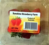 Socker och näringsämnen i Sunshine strawberry farm