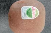 Mängden socker i Kiwi